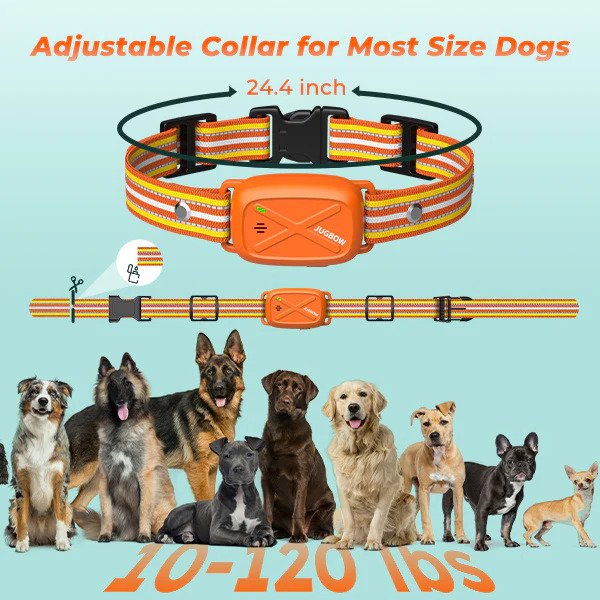 Adjustable dog training collar fits small medium and large dogs comfortably