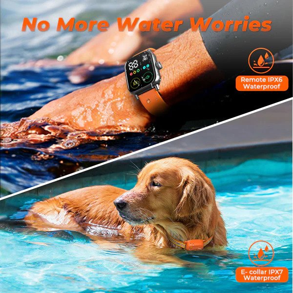 Jugbow DT-60 waterproof dog training collar used in rain and wet conditions